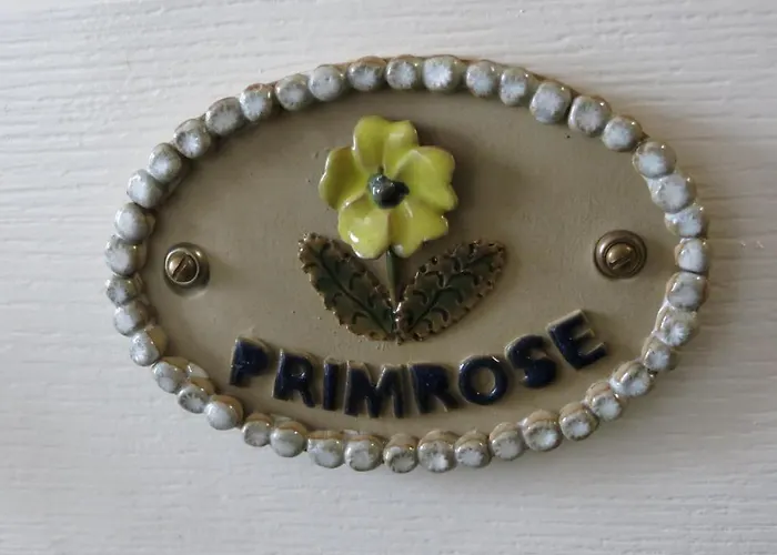 Avondale Penzion York