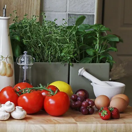 Casa de hóspedes Avondale 3*