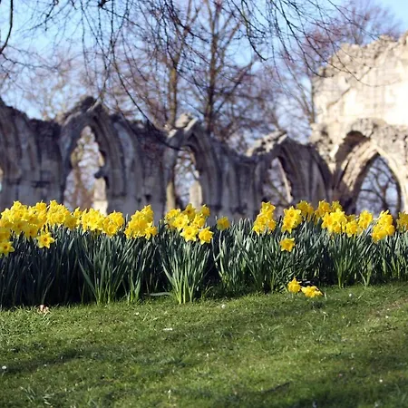 Avondale Guest house York